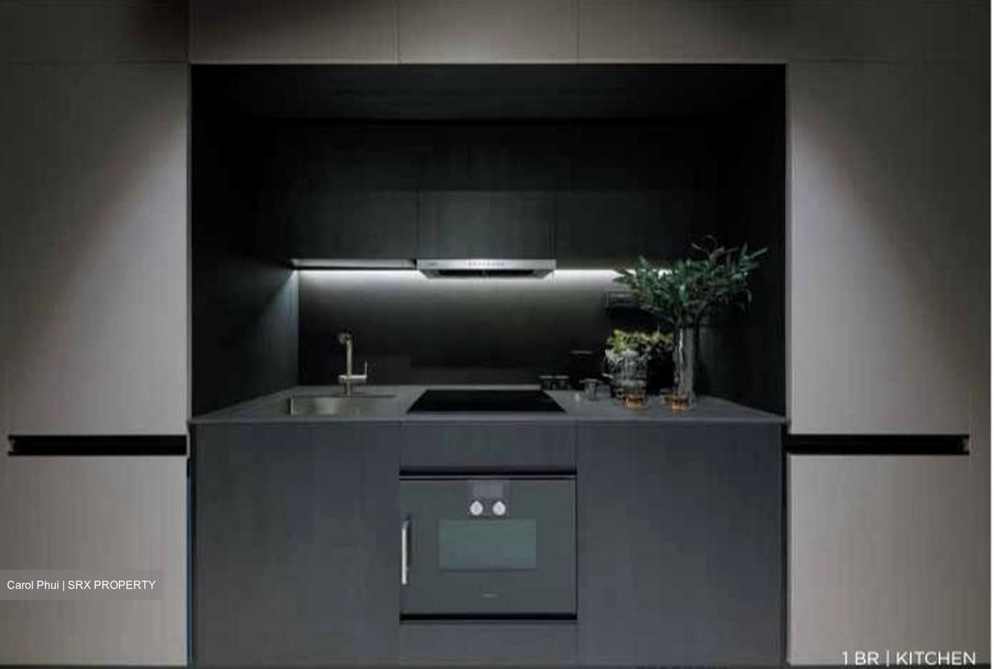 3 Cuscaden (D10), Apartment #454230181